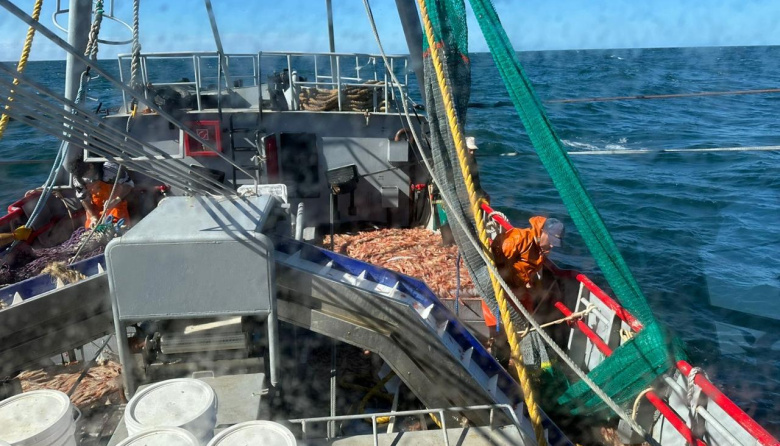 La prospección de langostino en aguas de Chubut comenzará el 26 de octubre