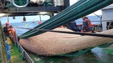 Habilitan nueva subárea para la pesca de langostino en aguas nacionales 