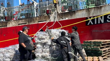 Pese a la cercanía del recurso Madryn aventaja a Deseado en las descargas de calamar