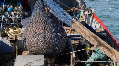 Estudio del Inidep revela que no sería conveniente una apertura del golfo San Jorge para la pesca de langostino 