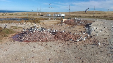 Piden declarar la emergencia ambiental en Puerto Deseado ante la crisis por el retiro de la empresa Landfarming