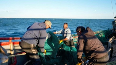 Cero capturas de langostino en el golfo San Jorge