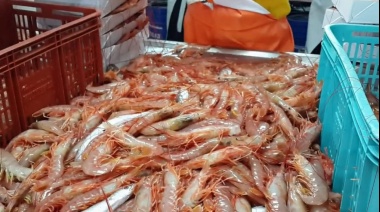 El Consejo Federal Pesquero solicitó al INIDEP el diseño de una prospección de langostino