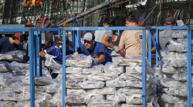 Cierran la temporada de pesca del calamar a partir del 10 de junio