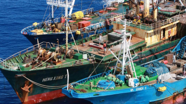 El Lado Oscuro de la Pesca