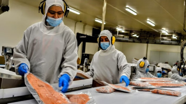 Salmonicultura vetada en Tierra del Fuego: una industria con potencial millonario que sigue del otro lado del Beagle