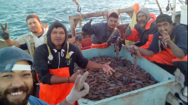 Autorizan captura incidental de langostino en la pesquería de merluza