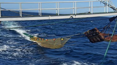 Arranca hoy una nueva prospección de langostino