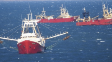 Fracasa la prospección de langostino en la Subárea 5