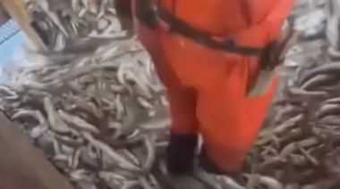 Le sacaron 1000 toneladas de merluza al buque Nddanddu tras denuncias por depredación