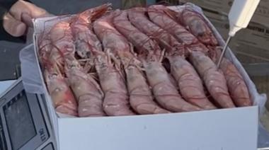 El langostino argentino fue certificado por el Marine Stewardship Council