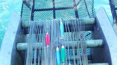 Se inicia hoy la prospección de calamar al norte del paralelo 44° S