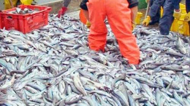 Asignan a Santa Cruz 1.200 toneladas de merluza de la Reserva Social para 2026