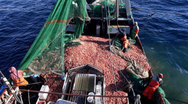 El Concejo Deliberante de Puerto Deseado presentó un pedido de informes impulsado por el bloque Unión por la Patria por el uso del cupo de langostino