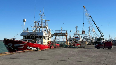 Langostino: Puerto Deseado toca fondo con caída de los desembarques mientras Madryn consolida su dominio 
