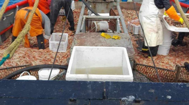 Conarpesa comunica valores para la temporada 2026 y convoca a tripulantes para salir el próximo 15 de abril norte del paralelo 41