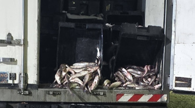 Denunció al Ministerio de Seguridad la fuga de merluza tras no recibir respuesta en Pesca