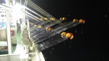 Desmienten mensaje viral sobre el cierre de la zafra del calamar