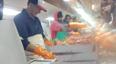 Varios barcos de Puerto Deseado manifestaron interés en participar de la prospección de langostino