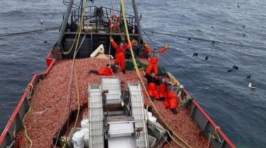 Se eliminan las 72 horas para los fresqueros que operan sobre el langostino