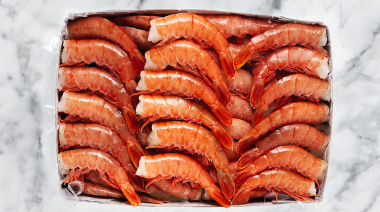 Otto Wöhler descartó un impacto ambiental significativo por la elaboración de colas de langostino a bordo