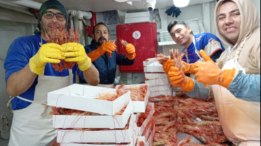 Habilitan la pesca de langostino solo en la mitad este de la Subárea 12