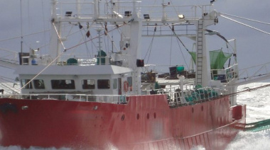 Ocho buques prospectan la subárea 11 y la mitad oeste de la subárea 12 en busca de nuevos rendimientos de langostino