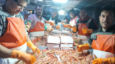 Pesca Nación pidió al INIDEP diseñar una prospección de langostino en las Subáreas 7 y 9