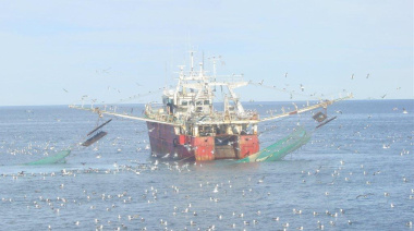 Langostino: cierran tres subáreas de pesca por exceso de captura incidental de merluza