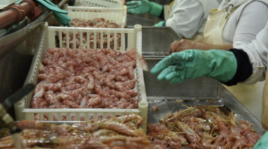 El langostino empujó los desembarques pesqueros y acumula una suba del 121% en 2026