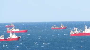 Langostino: Cerraron la prospección en la Subárea 9 y continúa vigente la 13