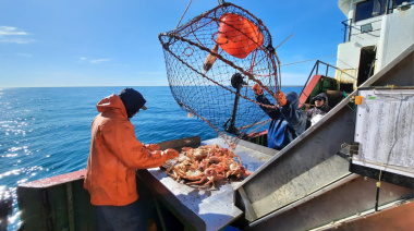 Proyectan nuevas campañas para evaluar la centolla