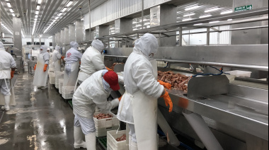 Una herramienta clave para la industria pesquera pone a prueba la abulia del Concejo Deliberante de Puerto Deseado