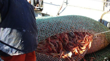 Santa Cruz reclama una cuota social de 50 mil toneladas de langostino