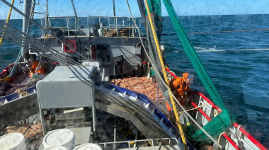 La prospección de langostino en aguas de Chubut comenzará el 26 de octubre