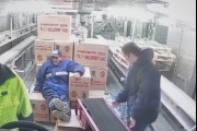Por un conflicto con la estiba poteros de Pesquera Santa Cruz descargan en Mar del Plata