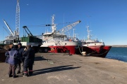 Senasa suspende operaciones de carga y consolidado por el puerto deseadense