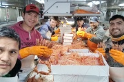 Todavía no se fijó fecha para el cierre de la pesca de langostino