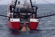 Liberman confirmó que esta semana se define el fin de la temporada de langostino en aguas nacionales