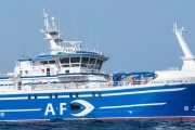 Se hundió un pesquero cerca de las Islas Malvinas: hay al menos ocho muertos y cinco desaparecidos