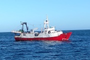 La prospección de langostino en aguas nacionales podría comenzar antes del 20 de mayo