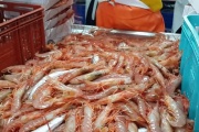 El Consejo Federal Pesquero solicitó al INIDEP el diseño de una prospección de langostino