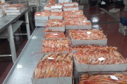 El Consejo Federal Pesquero convocó una nueva prospección de langostino, pero aún no hay fecha definida
