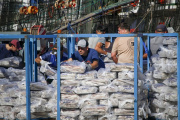 Cierran la temporada de pesca del calamar a partir del 10 de junio