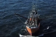 Langostino: Conarpesa prepara su flota para salir a la pesca el 23 de julio