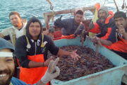Autorizan captura incidental de langostino en la pesquería de merluza