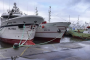 Cierran la pesca invernal del calamar en Malvinas por fuerte caída de la biomasa