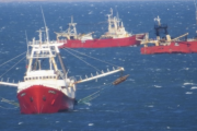 Fracasa la prospección de langostino en la Subárea 5