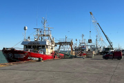 Langostino: Puerto Deseado toca fondo con caída de los desembarques mientras Madryn consolida su dominio 