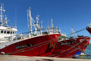 Empresas y gremios se reúnen en Río Gallegos para definir descargas de cara a la temporada de langostino